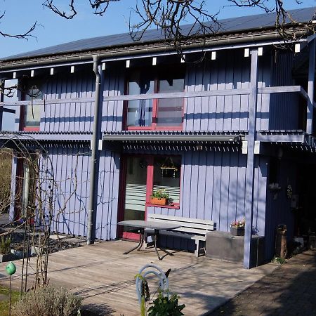 Blaues Haus - Une Maison Bleue Hetzerath Buitenkant foto