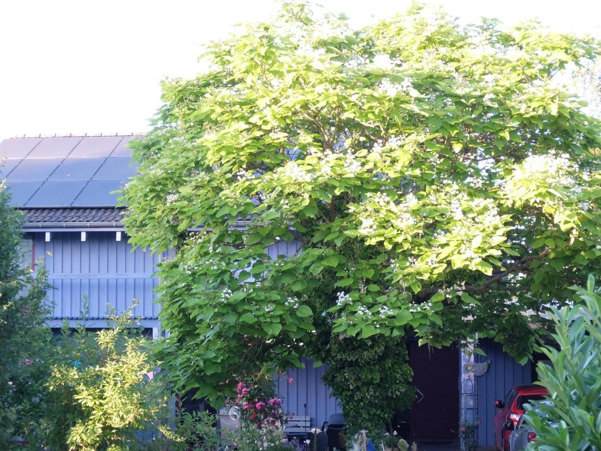 Blaues Haus - Une Maison Bleue Hetzerath Buitenkant foto